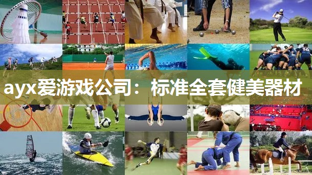 ayx爱游戏公司：标准全套健美器材