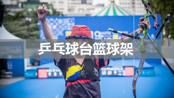 乒乓球台篮球架