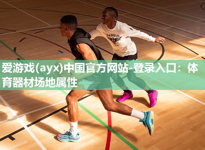 爱游戏(ayx)中国官方网站-登录入口：体育器材场地属性