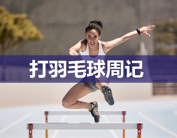 打羽毛球周记