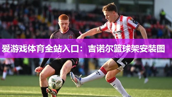 爱游戏体育全站入口：吉诺尔篮球架安装图