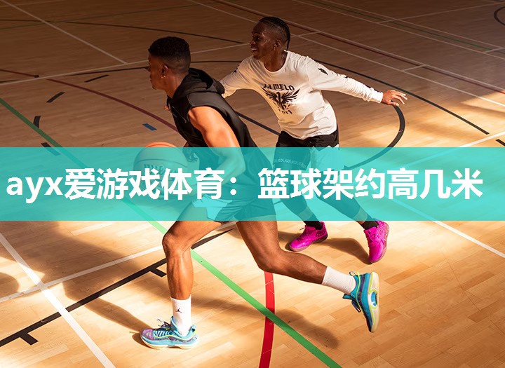 ayx爱游戏体育：篮球架约高几米