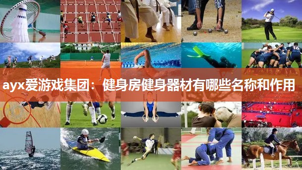 ayx爱游戏集团：健身房健身器材有哪些名称和作用