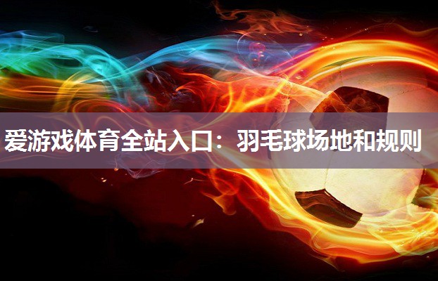 爱游戏体育全站入口：羽毛球场地和规则