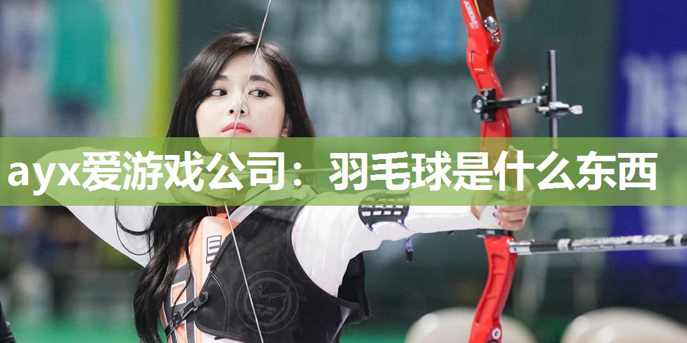 ayx爱游戏公司：羽毛球是什么东西
