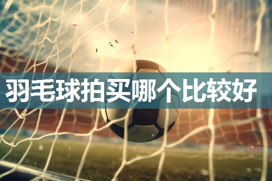 羽毛球拍买哪个比较好