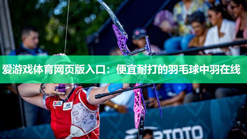 爱游戏体育网页版入口：便宜耐打的羽毛球中羽在线