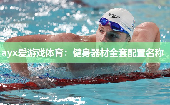 ayx爱游戏体育：健身器材全套配置名称
