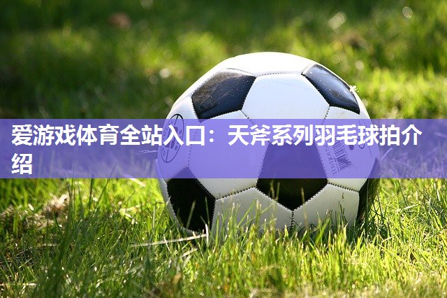 爱游戏体育全站入口：天斧系列羽毛球拍介绍