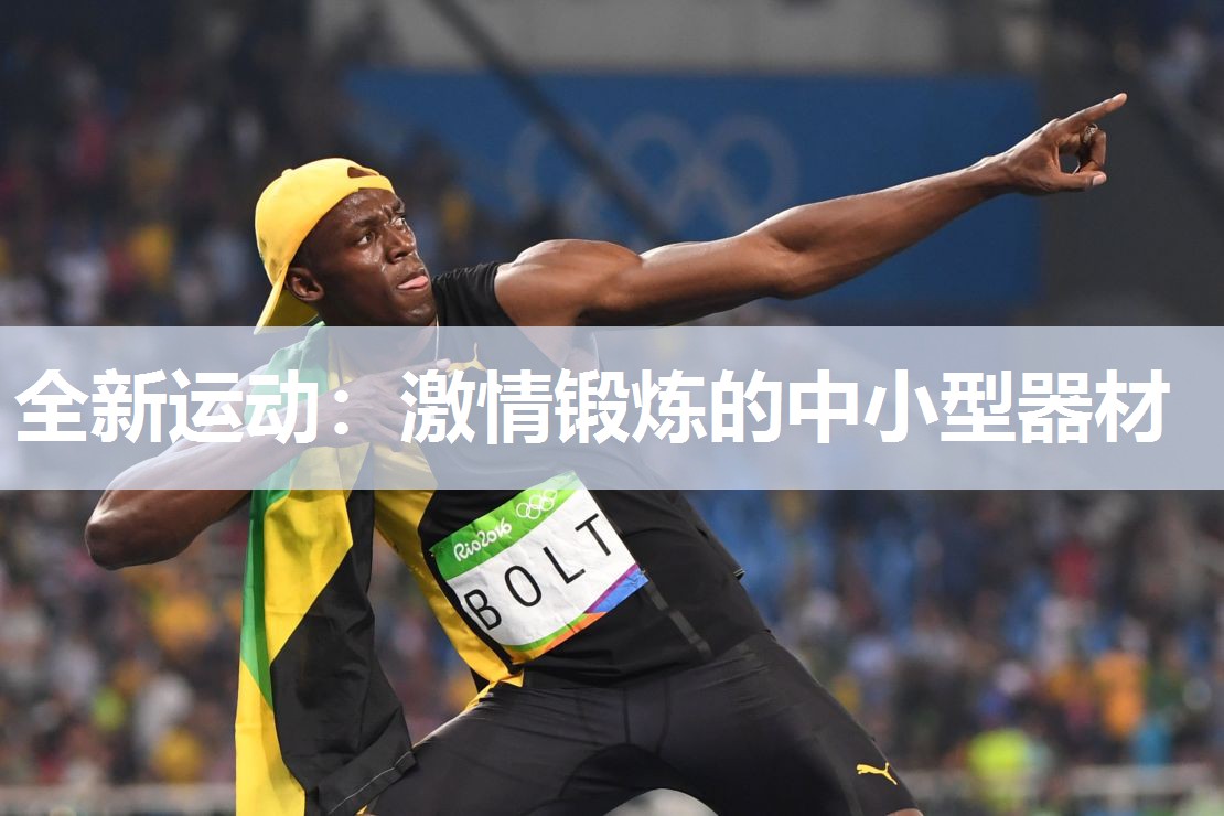 全新运动：激情锻炼的中小型器材