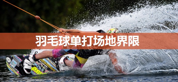 羽毛球单打场地界限