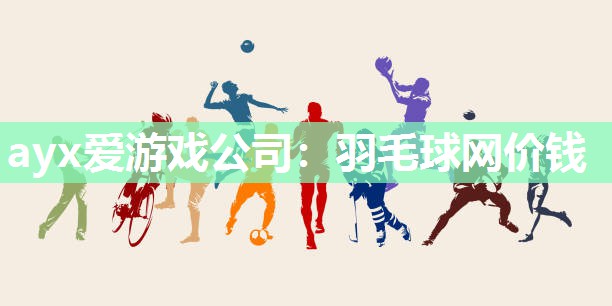 ayx爱游戏公司：羽毛球网价钱
