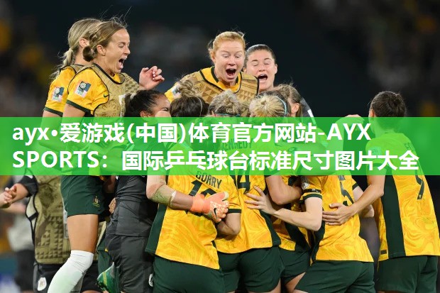 ayx·爱游戏(中国)体育官方网站-AYX SPORTS：国际乒乓球台标准尺寸图片大全