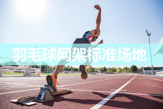 羽毛球网架标准场地