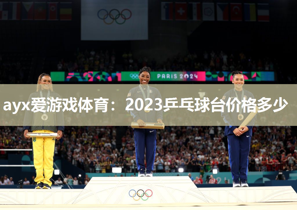 ayx爱游戏体育：2023乒乓球台价格多少