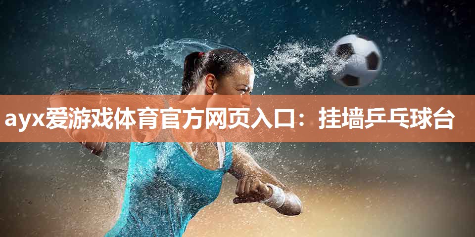 挂墙乒乓球台