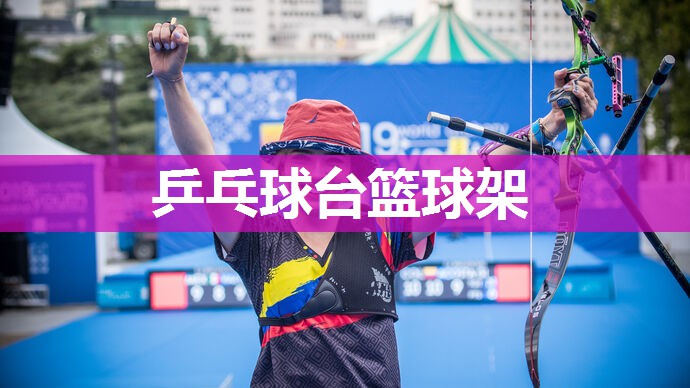 乒乓球台篮球架 乒乓球台篮球架