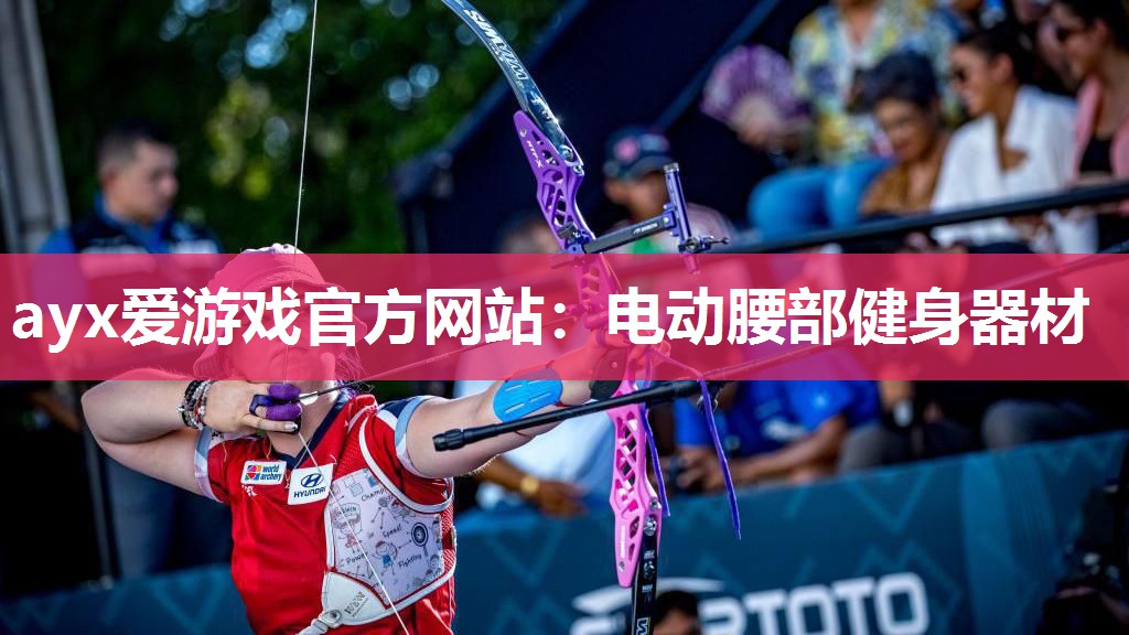 电动腰部健身器材 电动腰部健身器材