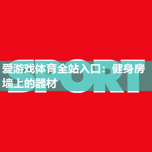 健身房墙上的器材 健身房墙上的器材