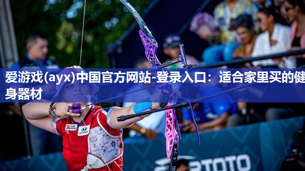 适合家里买的健身器材 适合家里买的健身器材