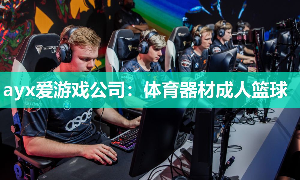 体育器材成人篮球 体育器材成人篮球
