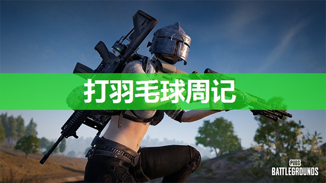 打羽毛球周记 打羽毛球周记