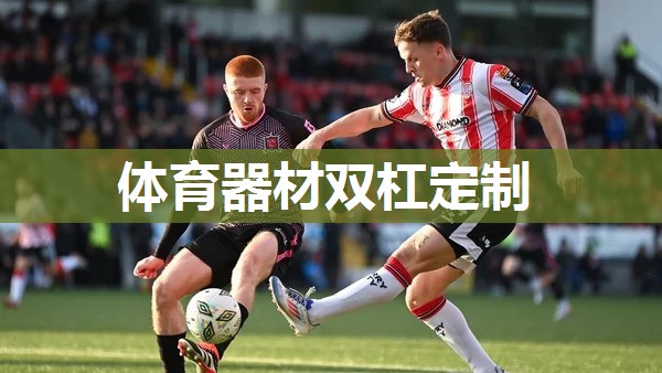 体育器材双杠定制 体育器材双杠定制
