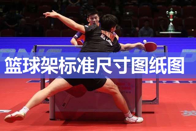 篮球架标准尺寸图纸图 篮球架标准尺寸图纸图