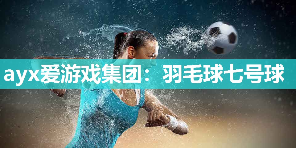 羽毛球七号球 羽毛球七号球