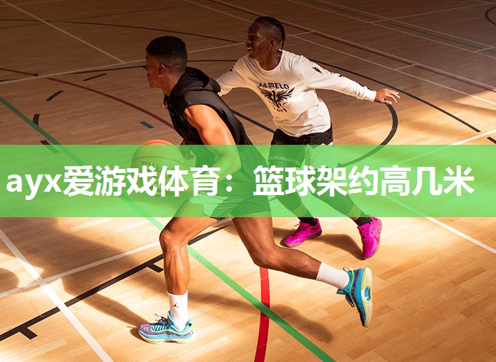 篮球架约高几米 篮球架约高几米