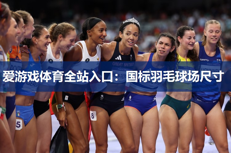 国标羽毛球场尺寸 国标羽毛球场尺寸