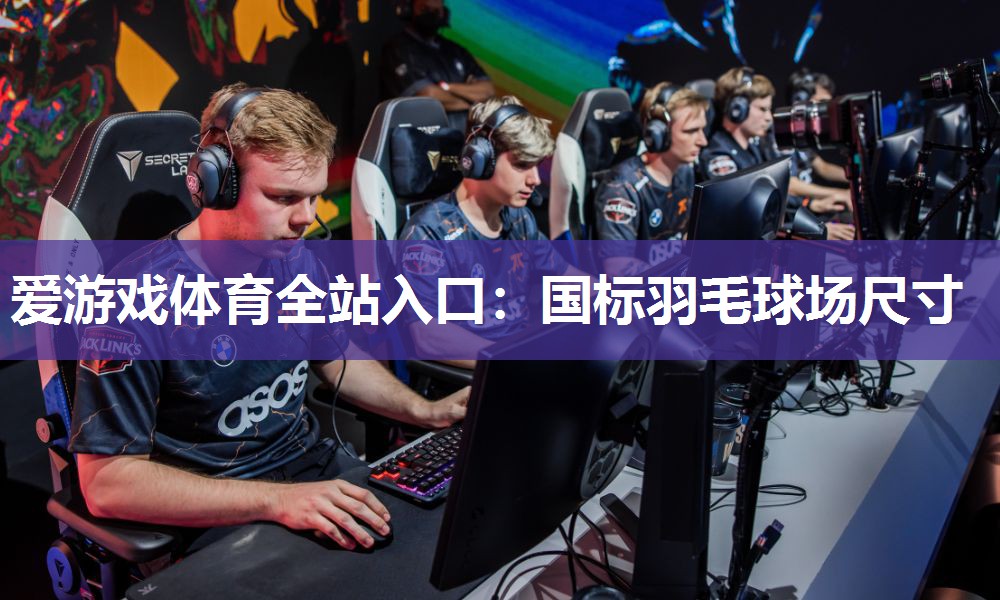 国标羽毛球场尺寸 国标羽毛球场尺寸