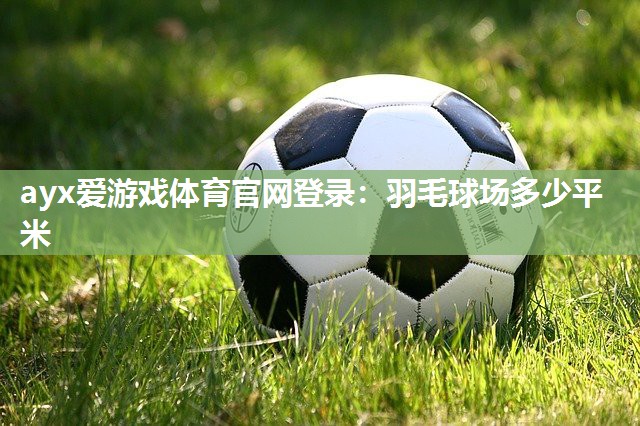 羽毛球场多少平米