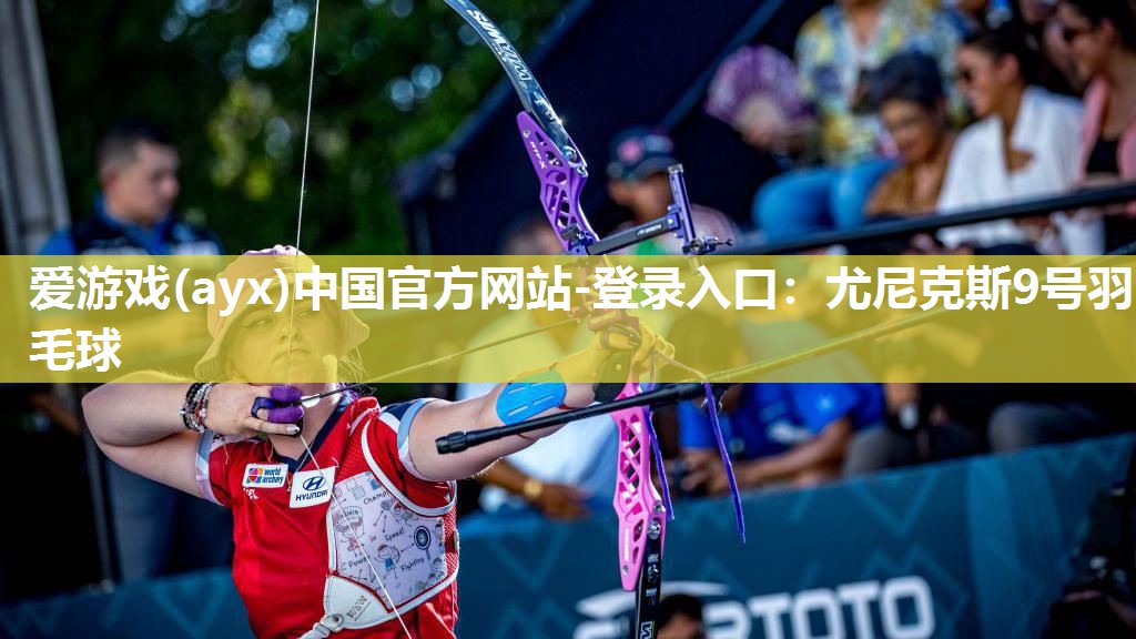 尤尼克斯9号羽毛球 尤尼克斯9号羽毛球