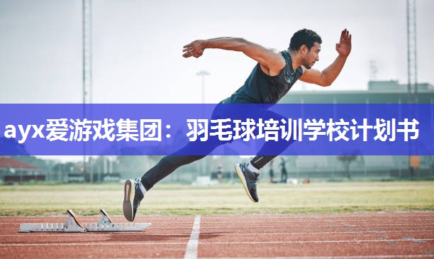羽毛球培训学校计划书 羽毛球培训学校计划书