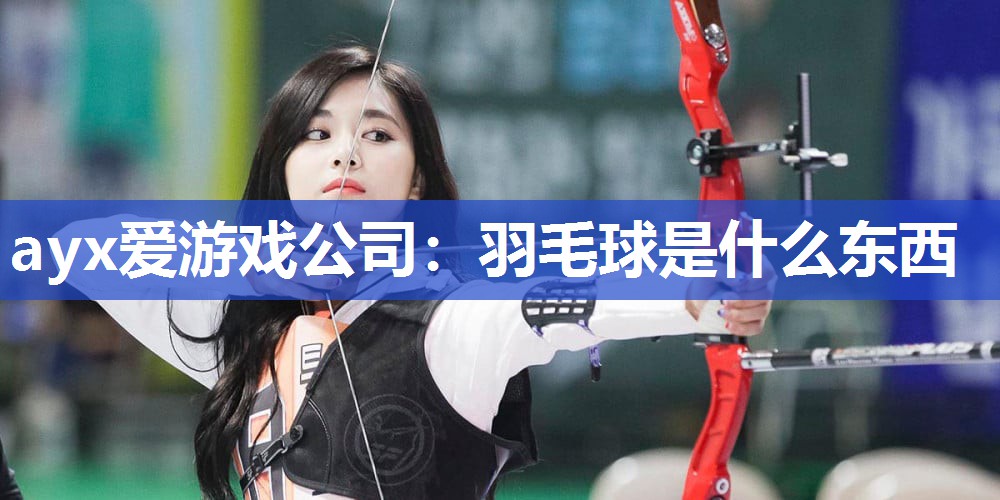 羽毛球是什么东西 羽毛球是什么东西