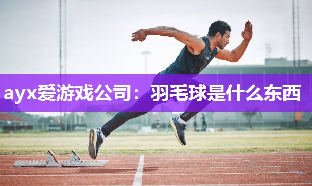 羽毛球是什么东西 羽毛球是什么东西