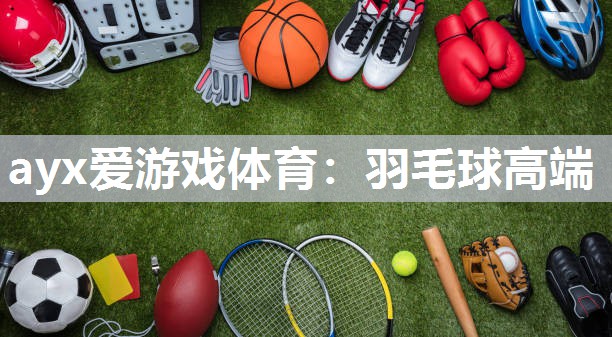 羽毛球高端 羽毛球高端