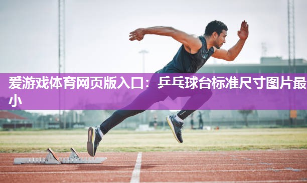 乒乓球台标准尺寸图片最小 乒乓球台标准尺寸图片最小