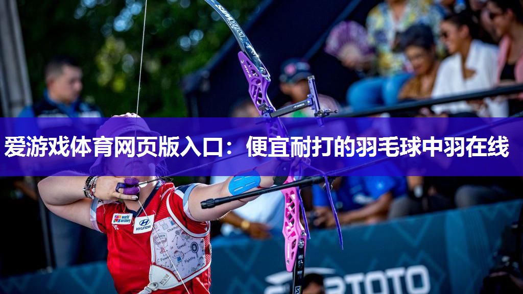 便宜耐打的羽毛球中羽在线