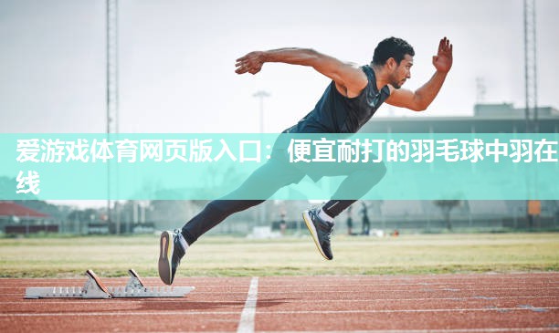 便宜耐打的羽毛球中羽在线