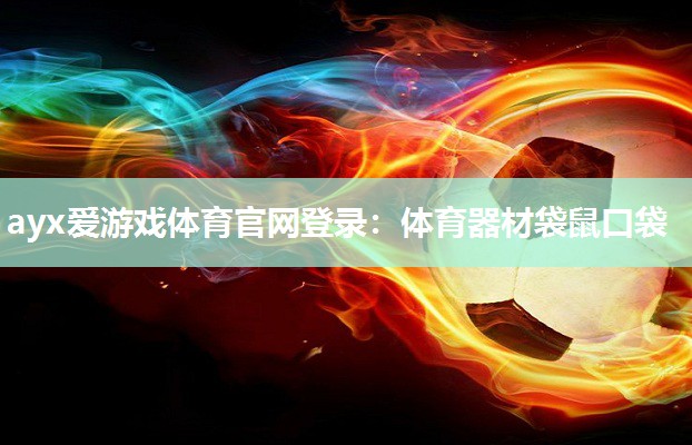 体育器材袋鼠口袋