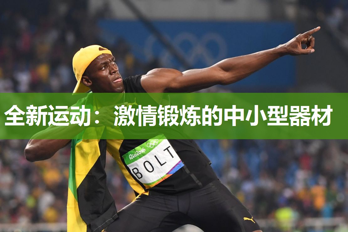 全新运动：激情锻炼的中小型器材
