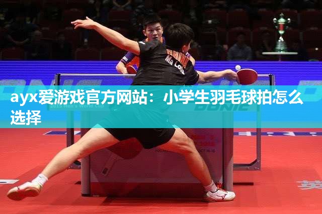 小学生羽毛球拍怎么选择 小学生羽毛球拍怎么选择