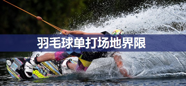 羽毛球单打场地界限 羽毛球单打场地界限