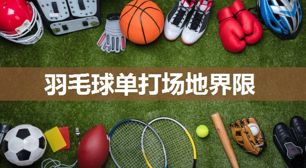 羽毛球单打场地界限 羽毛球单打场地界限