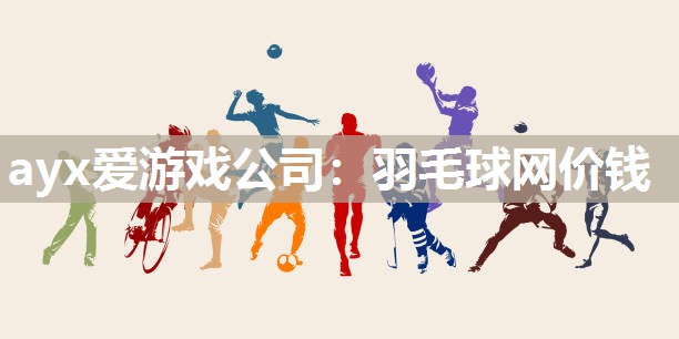 羽毛球网价钱 羽毛球网价钱