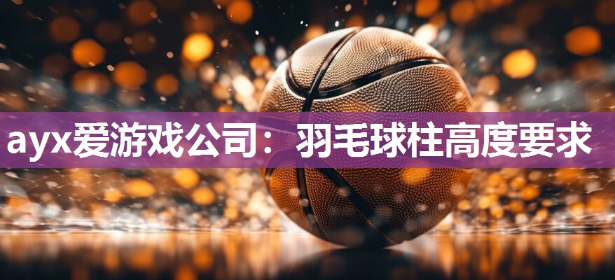 羽毛球柱高度要求 羽毛球柱高度要求