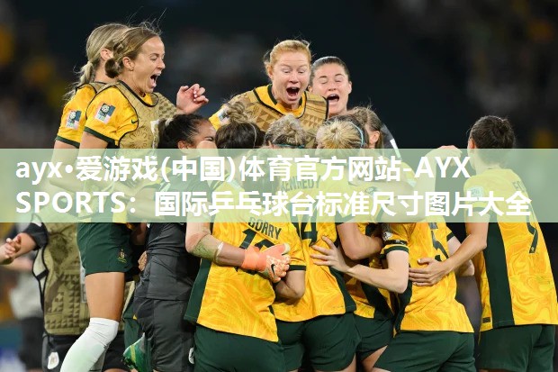 国际乒乓球台标准尺寸图片大全