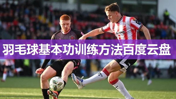 羽毛球基本功训练方法百度云盘 羽毛球基本功训练方法百度云盘